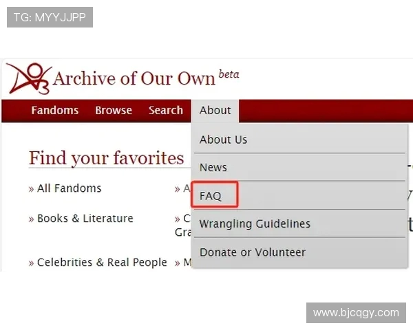 伯明翰英超球队网址导航与官方入口信息