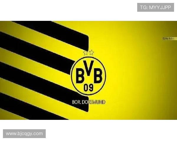 德甲历史上哪些球队曾夺得欧冠冠军？