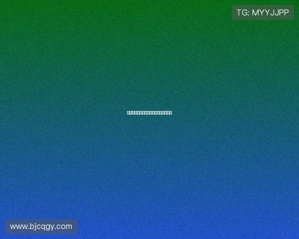 意甲足球队交易市场动态及最新转会趋势